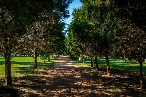 Pathway-The-Hermitage