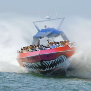 Puerto de Boston: Paseo en barco “Codzilla”