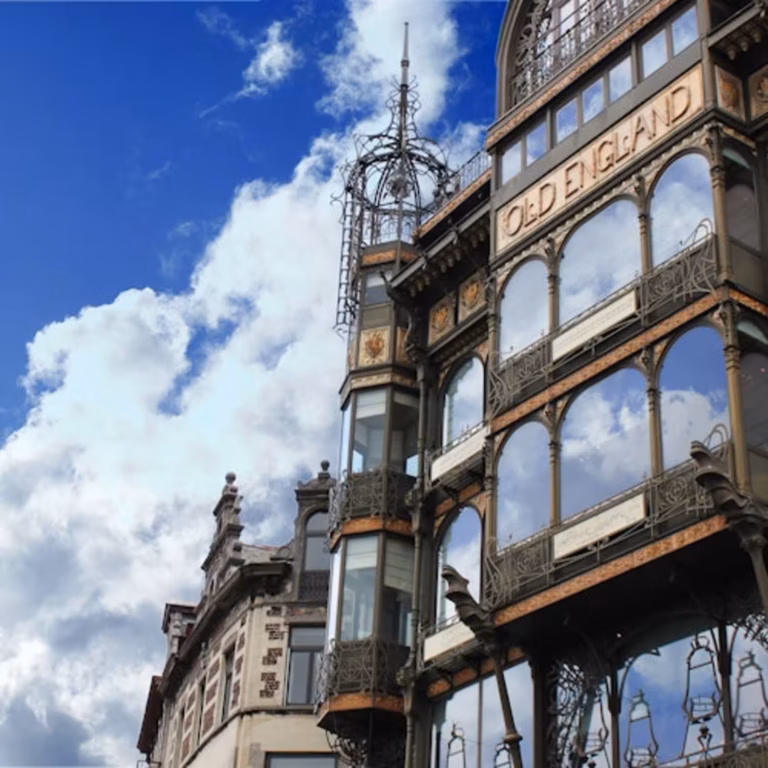 Brussels Card: 49 Attractions + Discounts