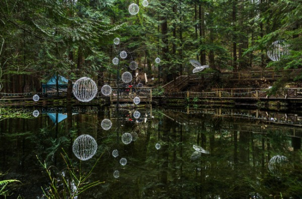 capilano-suspension-bridge-park-lake
