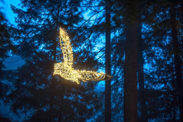capilano-suspension-bridge-park-lights