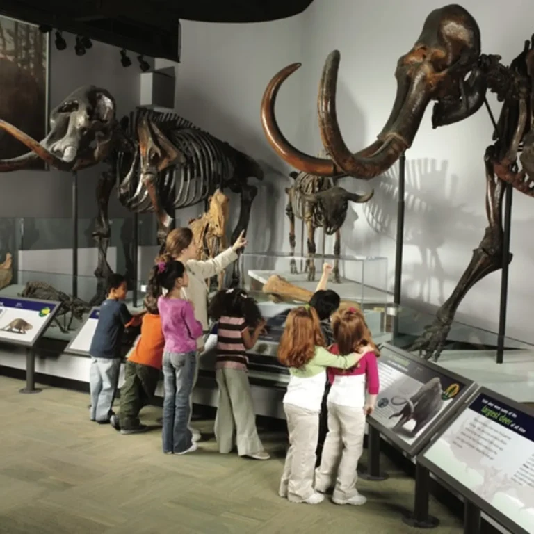 The Field Museum of Natural History: General Admission