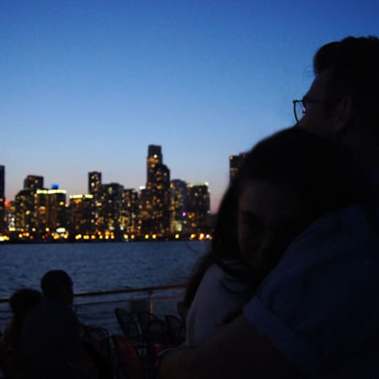 Lake Michigan and Chicago River 1.5-Hour Night Sightseeing Cruise