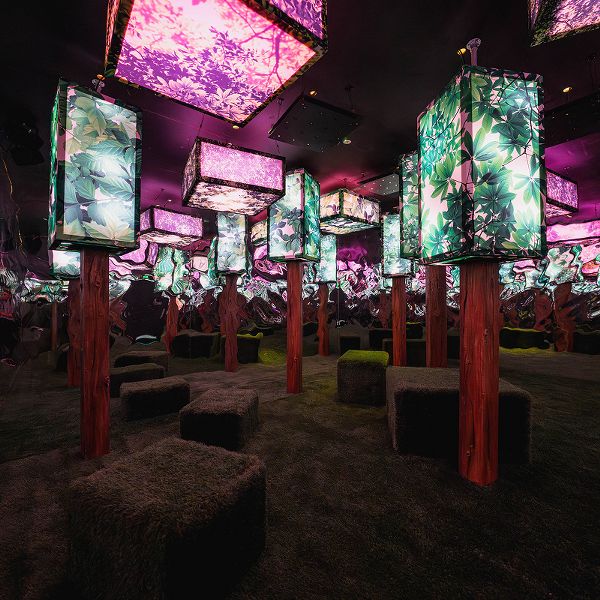 グループ_三_qiobiq