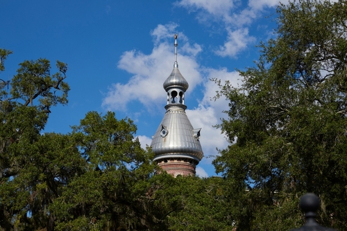 Different,Views,Of,The,Domes,Of,The,University,Of,Tampa,