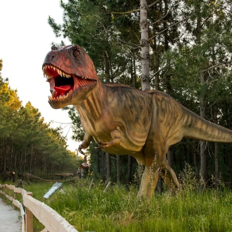 Lourinhã Dino Park: Admission Ticket