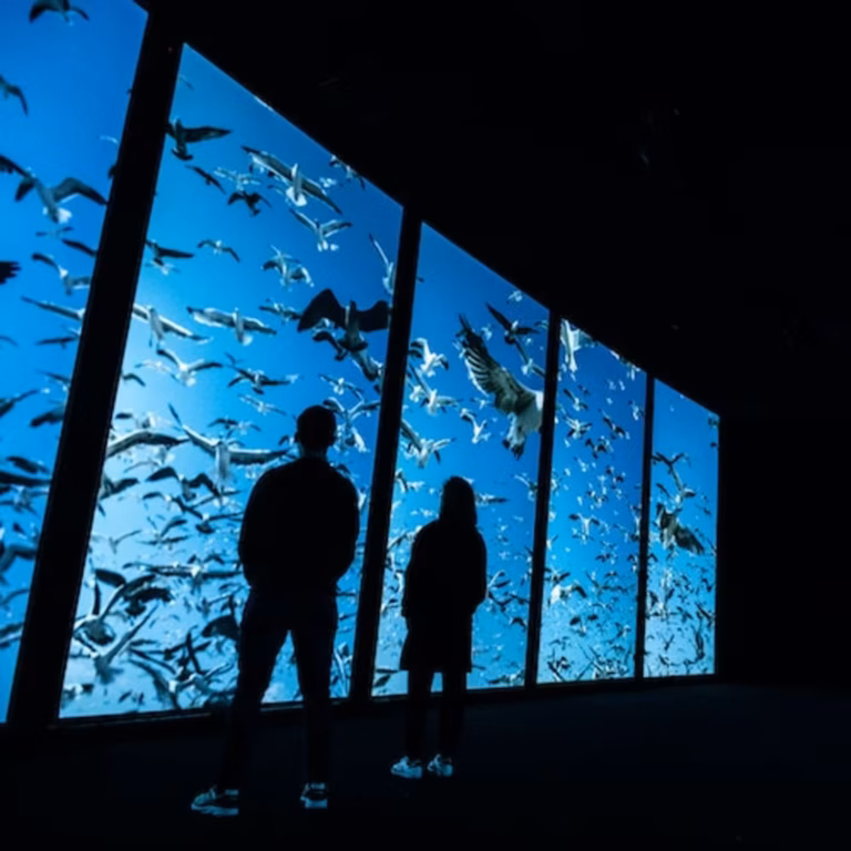 Lisbon Oceanarium