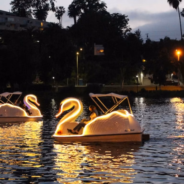Los Angeles: Swan Boats Rental