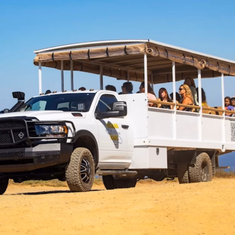 Santa Catalina Island: Guided Safari Tour