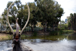 Mammoth,Sculpture,At,The,La,Brea,Tar,Pits,In,Los