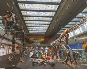 Museums