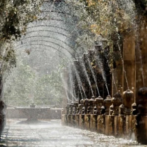 Alfabia Gardens
