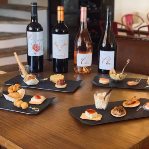 Doña Felisa Winery: Guided tour and wine tasting or lunch