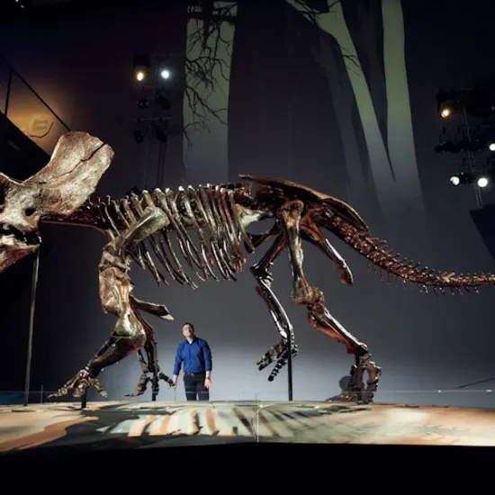 admission-melbourne-museum-home-of-dinosaurs-guided-tour