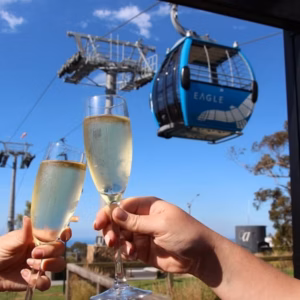 Arthurs Seat Eagle: Roundtrip Gondola Ticket + Drink
