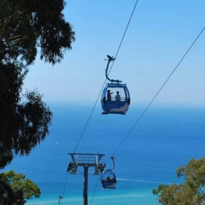 Mornington Peninsula: Arthurs Seat Eagle Gondola Ticket