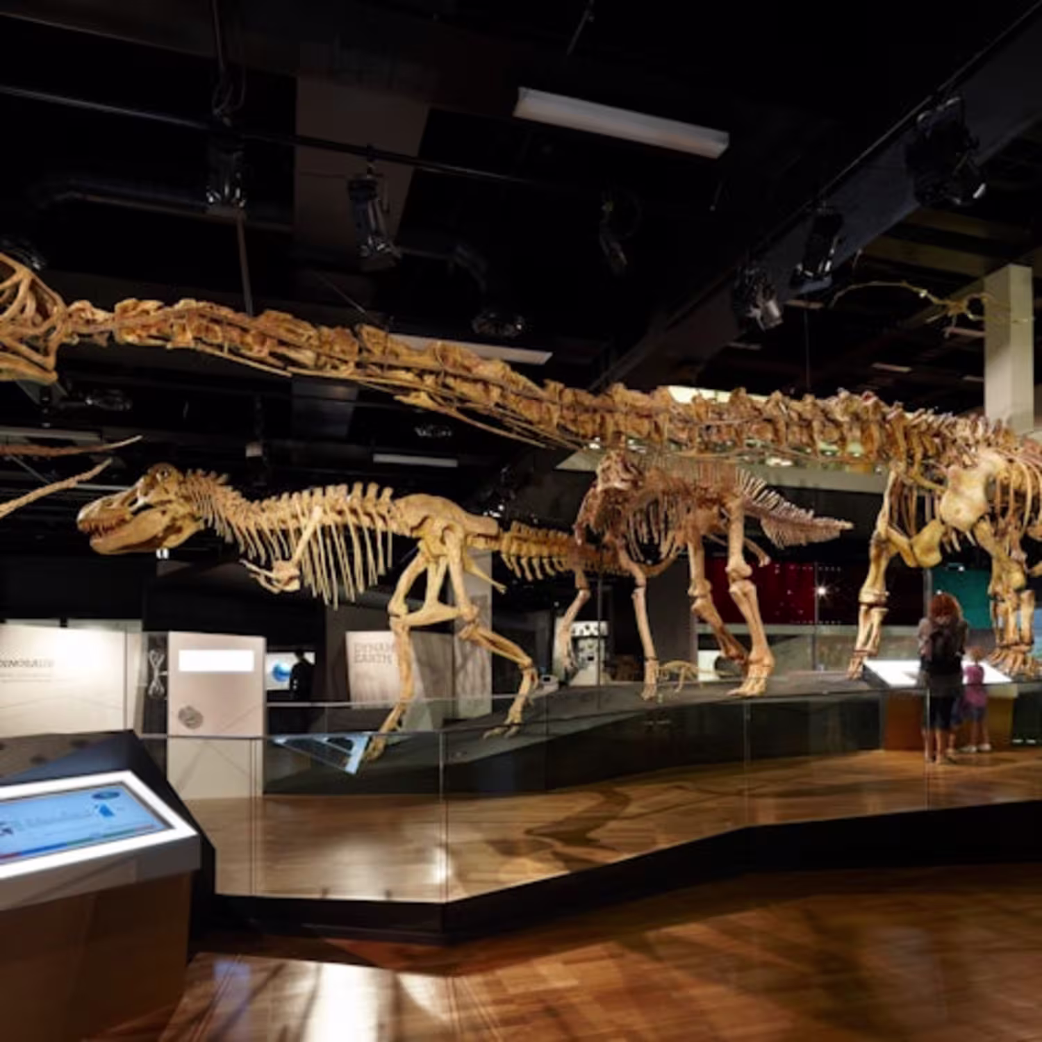 tickets-online-melbourne-museum-home-of-dinosaurs-guided-tour