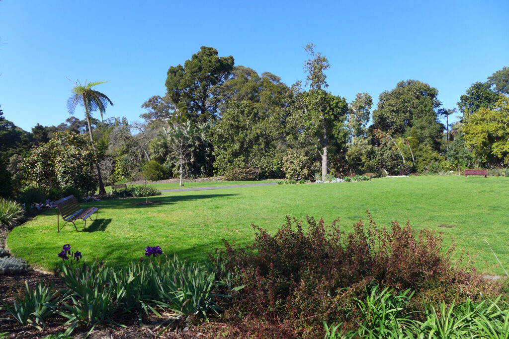2e jour, matin : Jardins botaniques royaux – Itinéraire de 2 jours à Melbourne