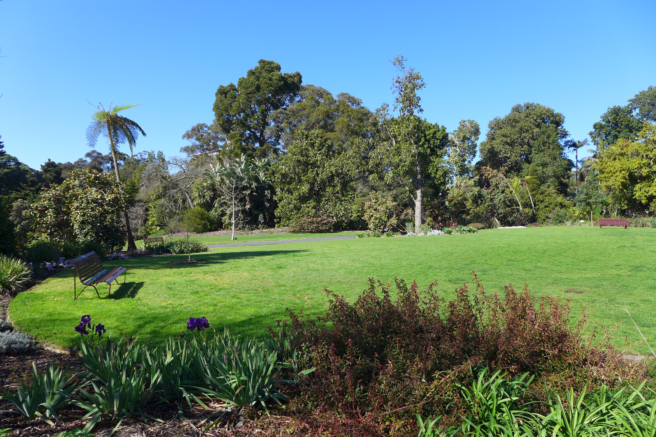 Jardins botaniques royaux : itinéraire de 2 j à Melbourne