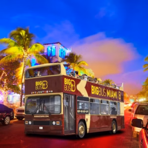 Big Bus Miami: tour panoramico notturno