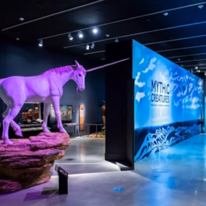 Museo HistoryMiami: biglietto d’ingresso