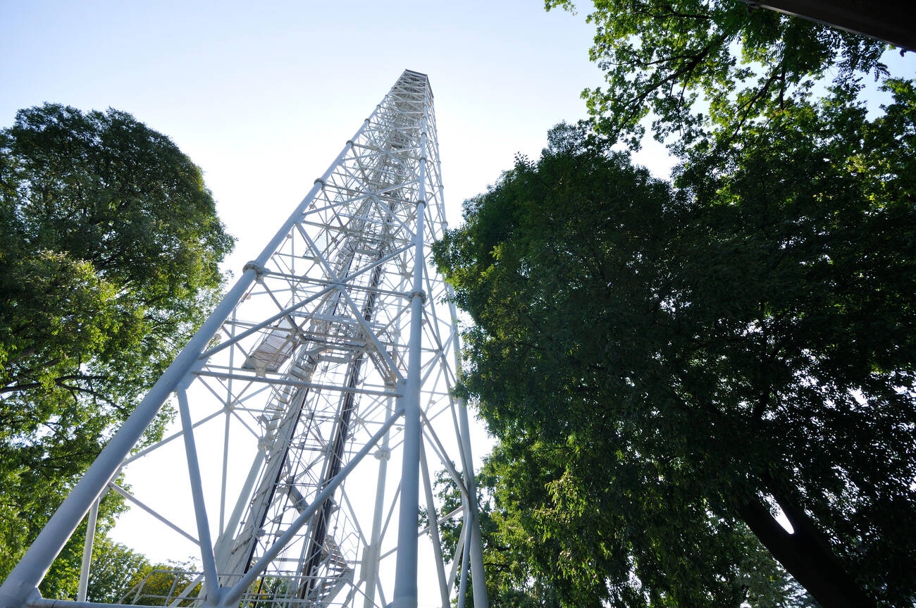 torre-branca-2