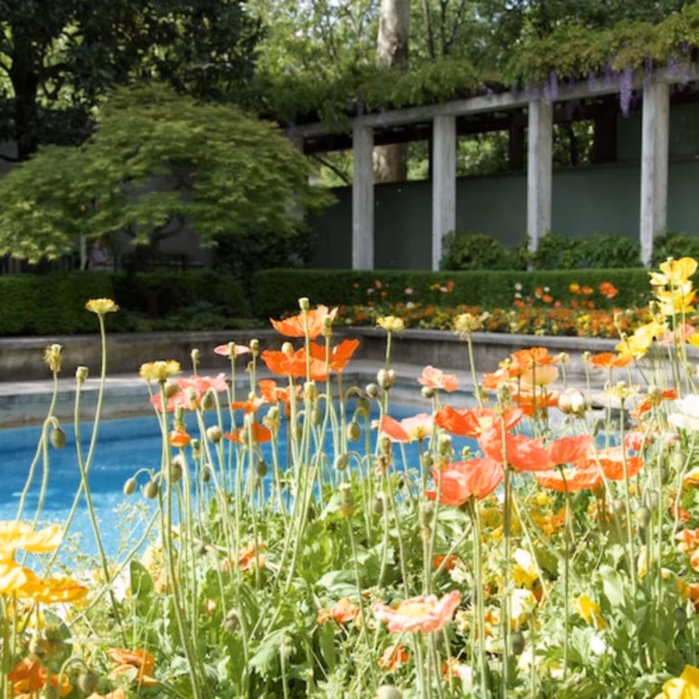 Villa Necchi Campiglio: Eintrittskarte