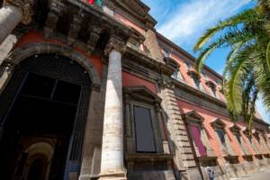 Musei