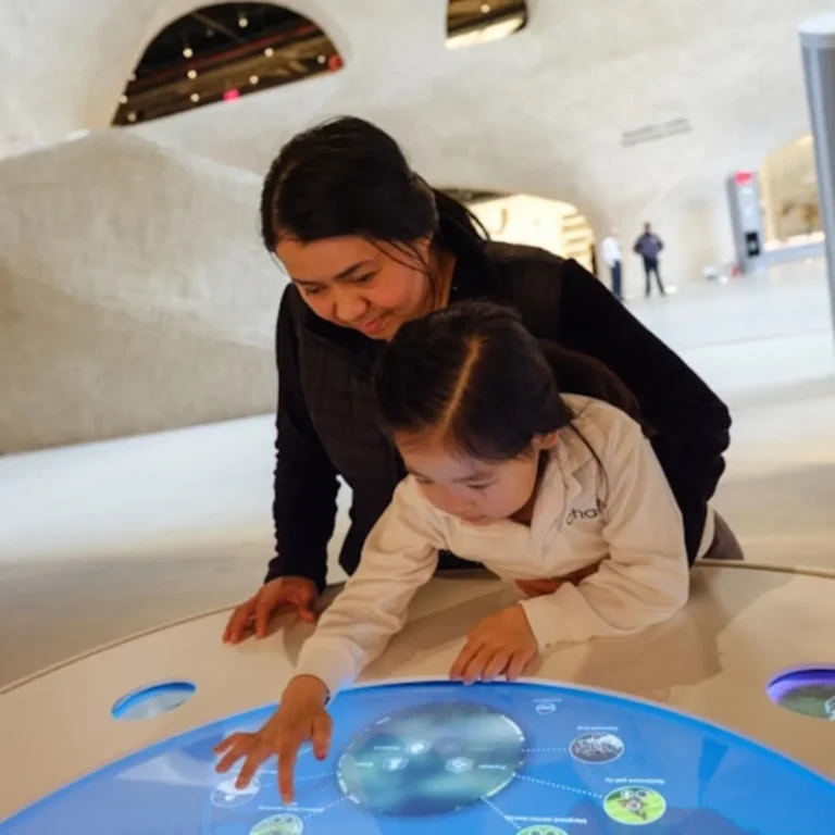 American Museum of Natural History (AMNH): Plus One Ticket