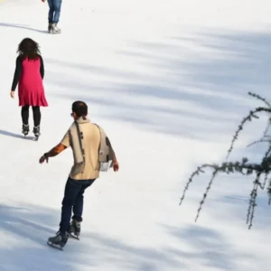 Wollman Rink: Ice Skating Experience
