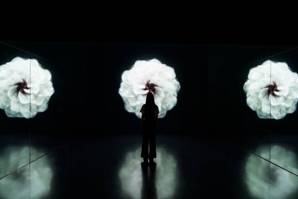 Flower: Hibiscus Seed installation at Arte Museum New York