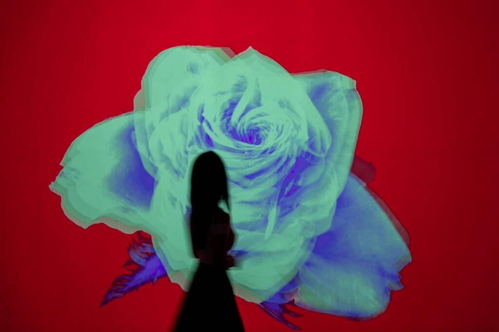 Flower: Rose Odyssey installation at Arte Museum New York