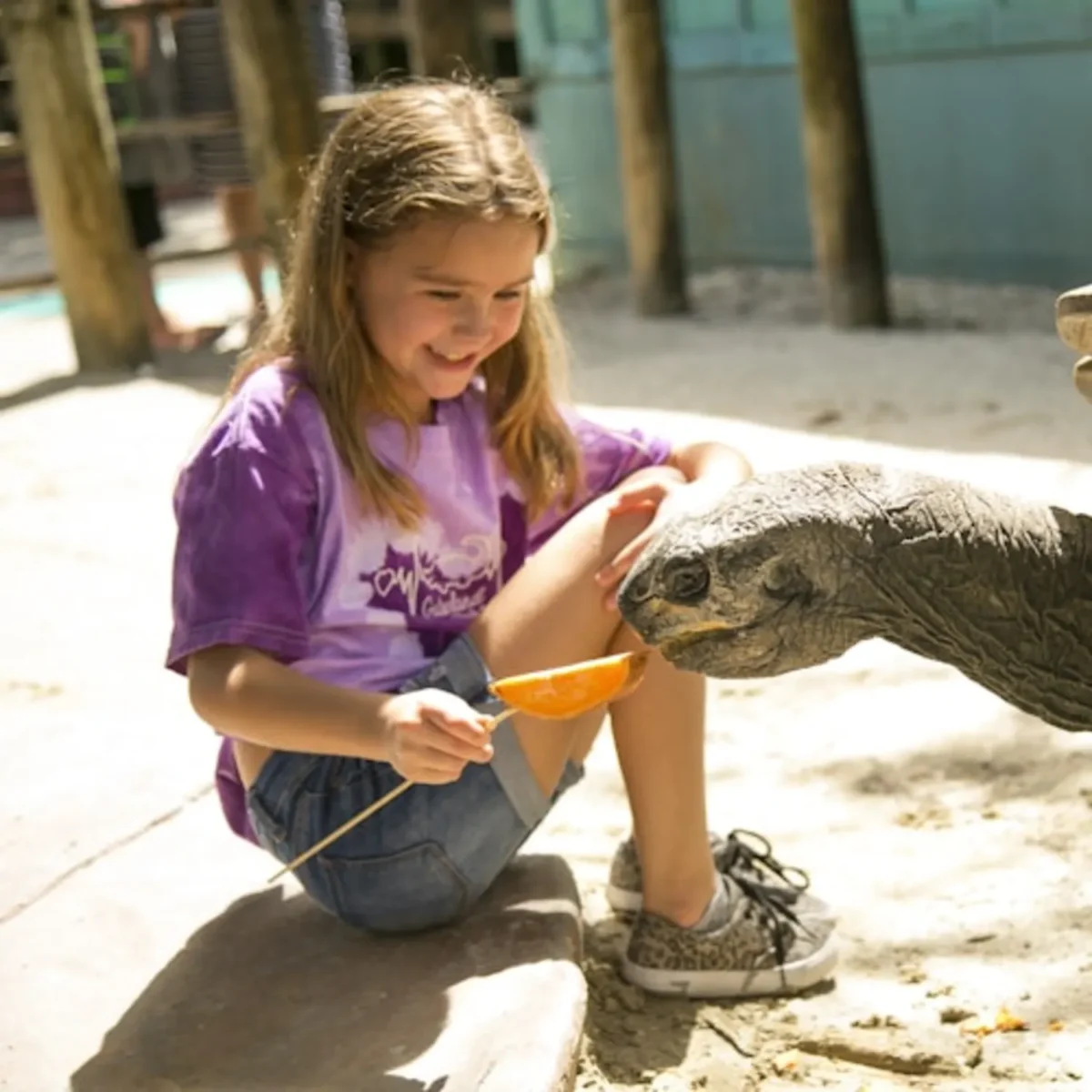 cost-to-visit-gatorland-orlando-the-greater-gator-package