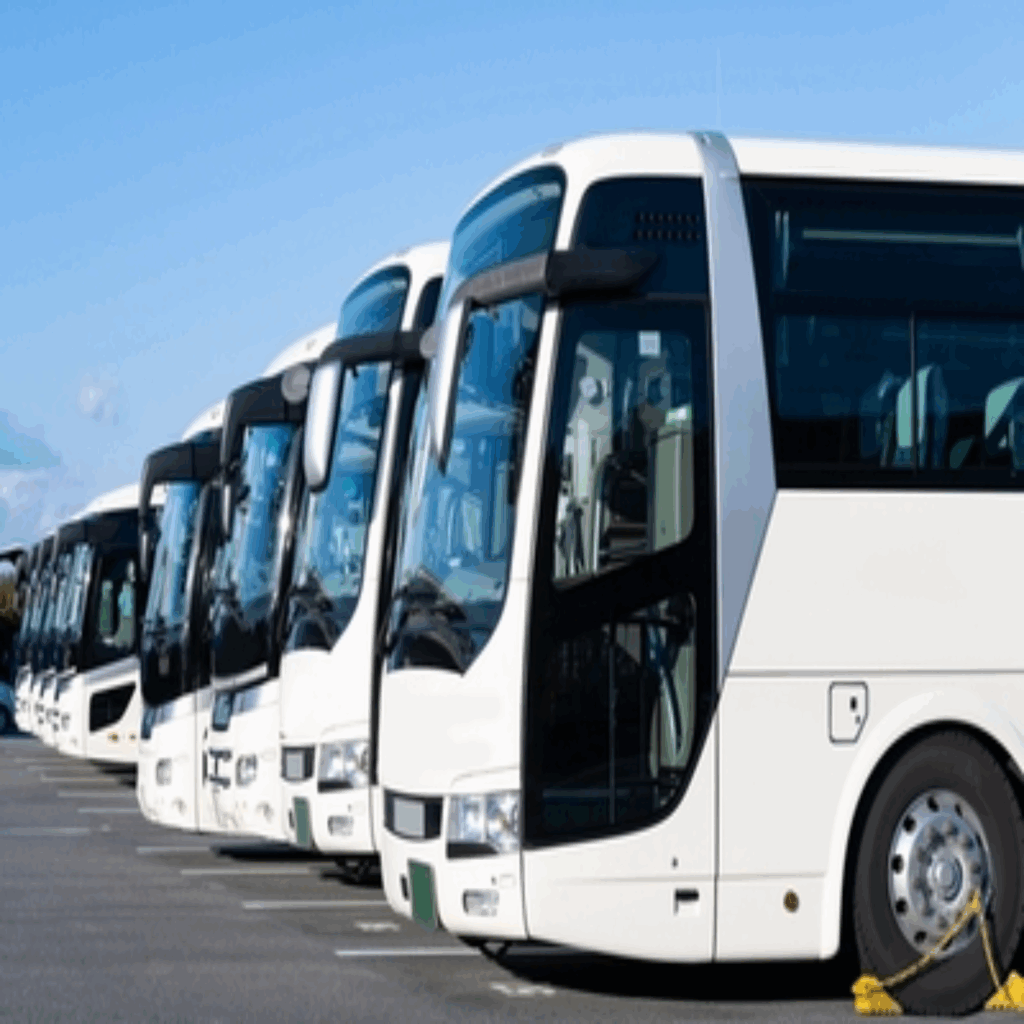 Illustration of buses