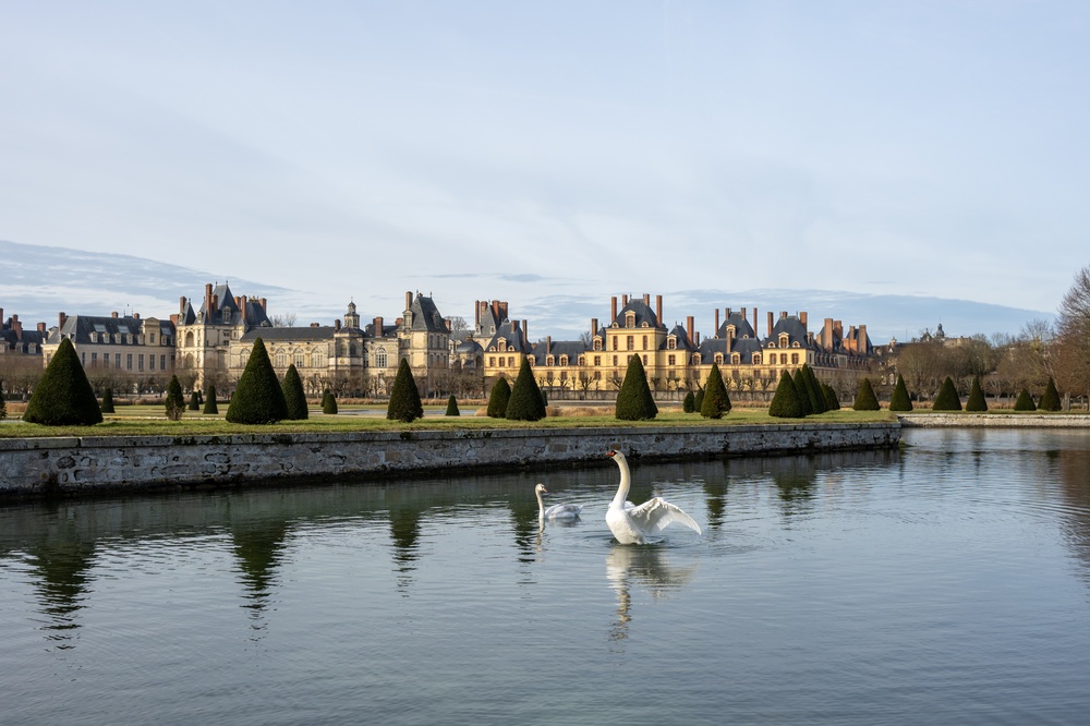 Dancing,Swan,Near,The,Fontainebleau,Castle