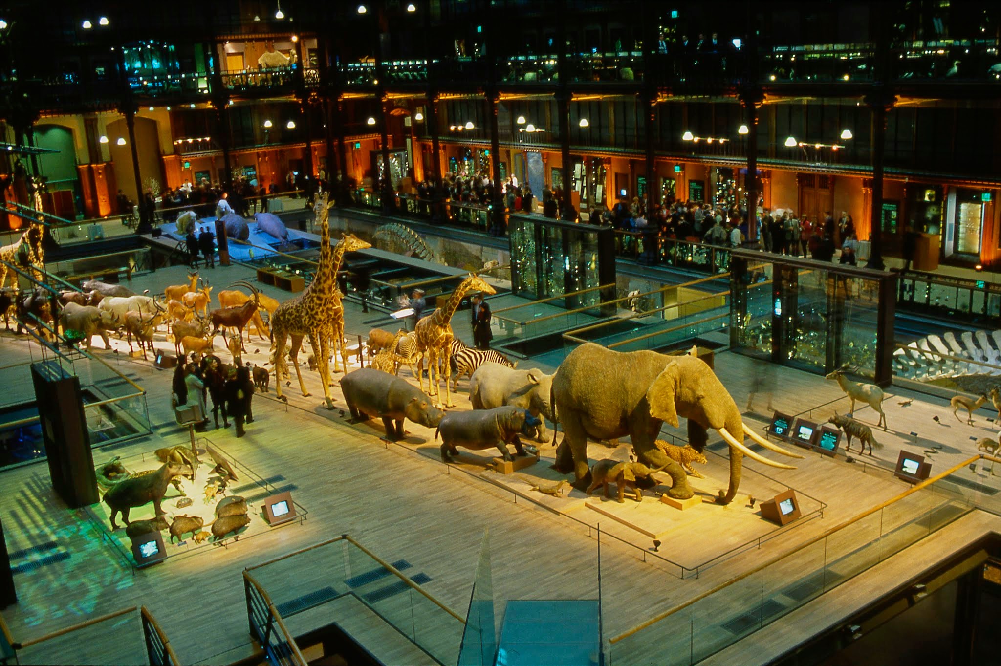 natural-history-museum-9