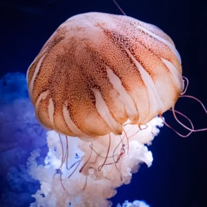 Aquarium de Paris
