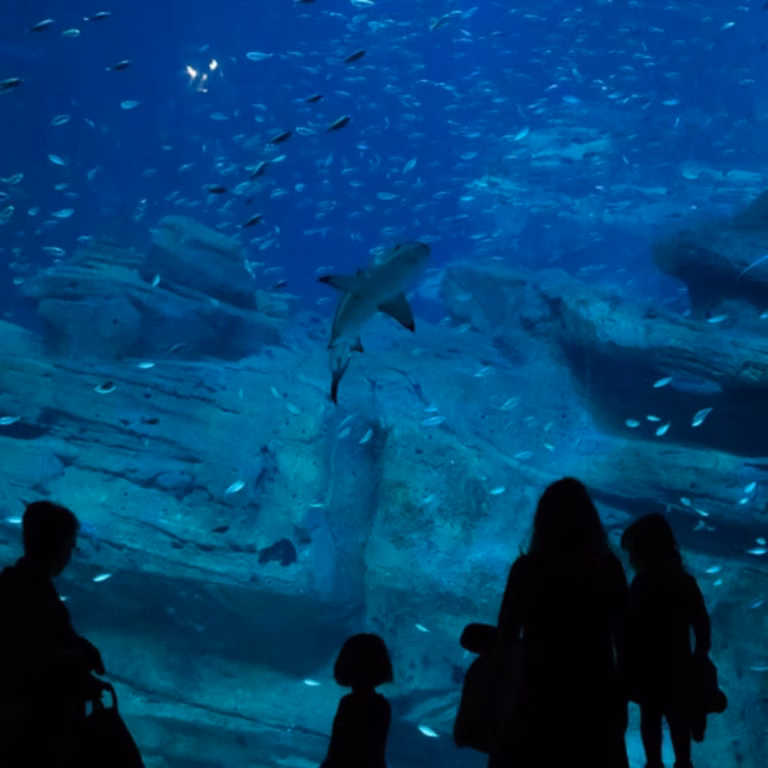 Tickets for the Paris Aquarium