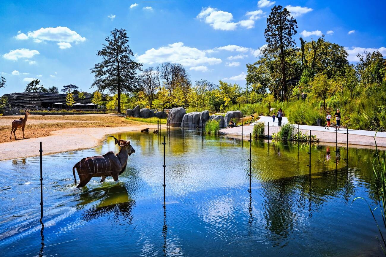 paris-zoos