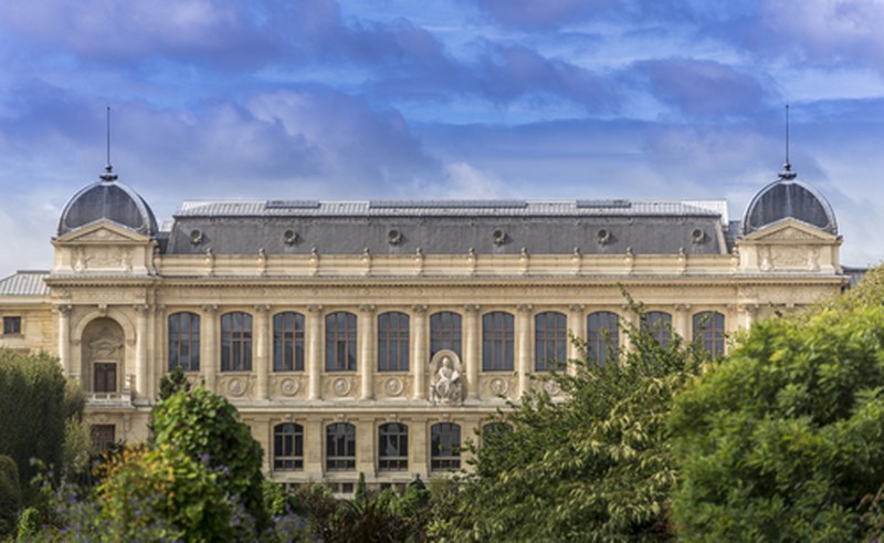 shutterstock_345490976_800x491
