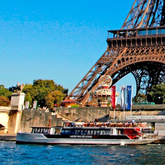 Guided Seine River Cruise by Electric Boat