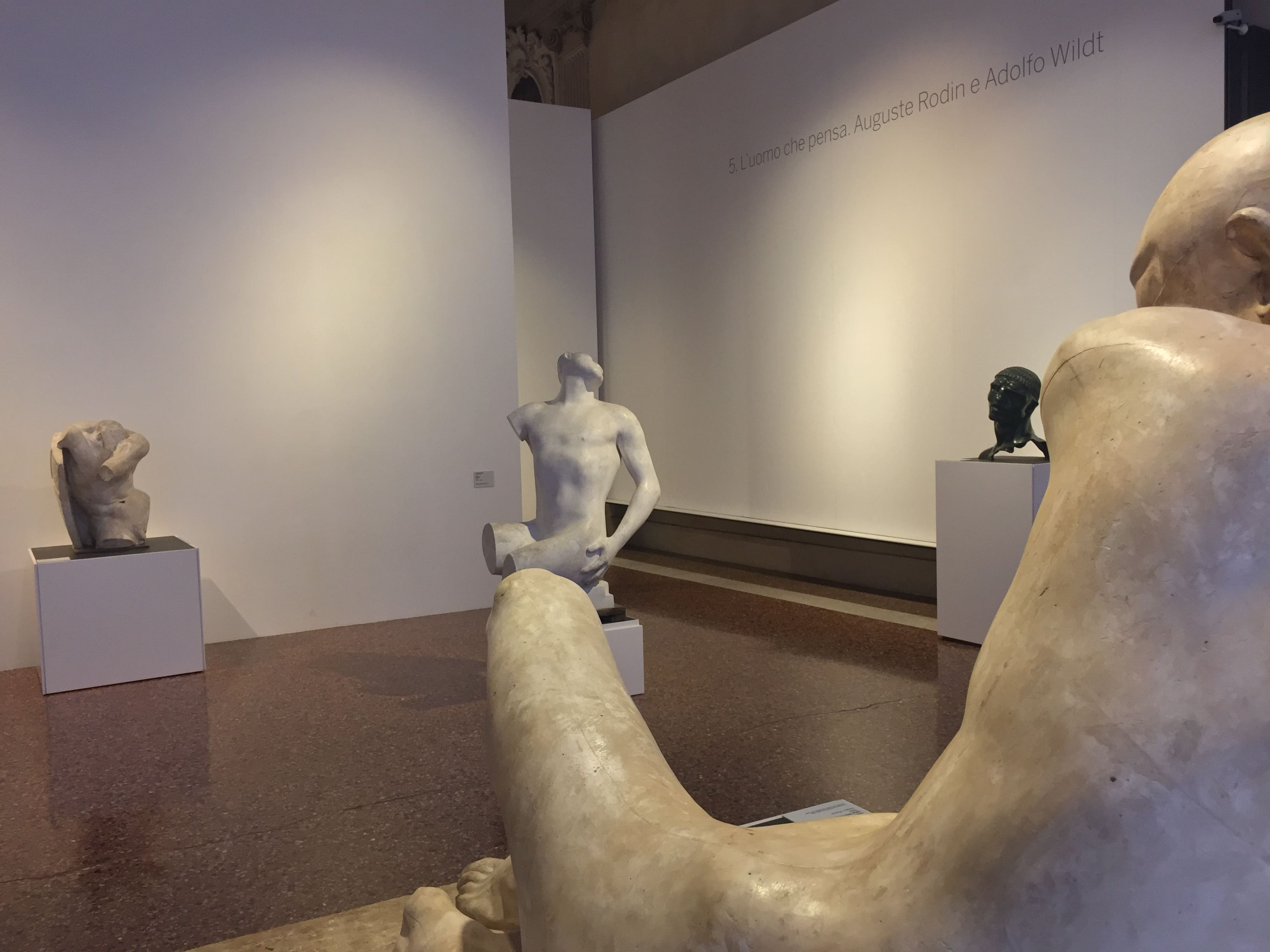 ca-pesaro-gallery-view-rodin-wildt-section