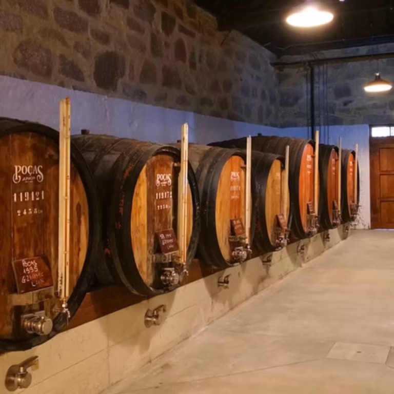 Caves Poças: guided tour with wine tasting