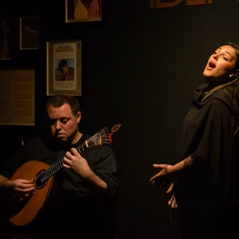 Porto: Traditional Fado Concert