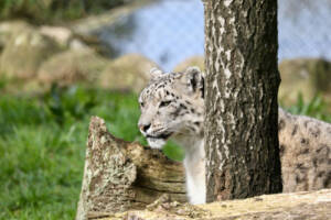 Zoos