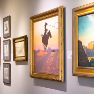 Museu de Arte do Oeste Briscoe: Bilhetes