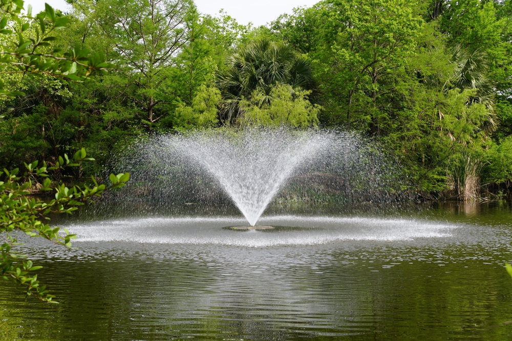 Les fontaines des zones humides situées près du jardin botanique de San Antonio