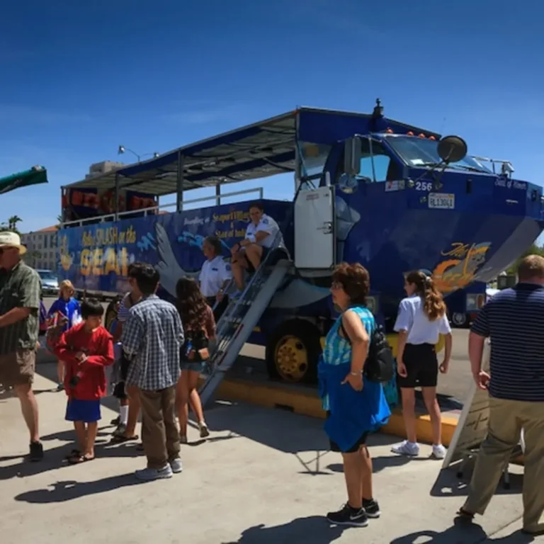 San Diego : circuit de 90 min à la découverte des phoques à bord d’un bus amphibie