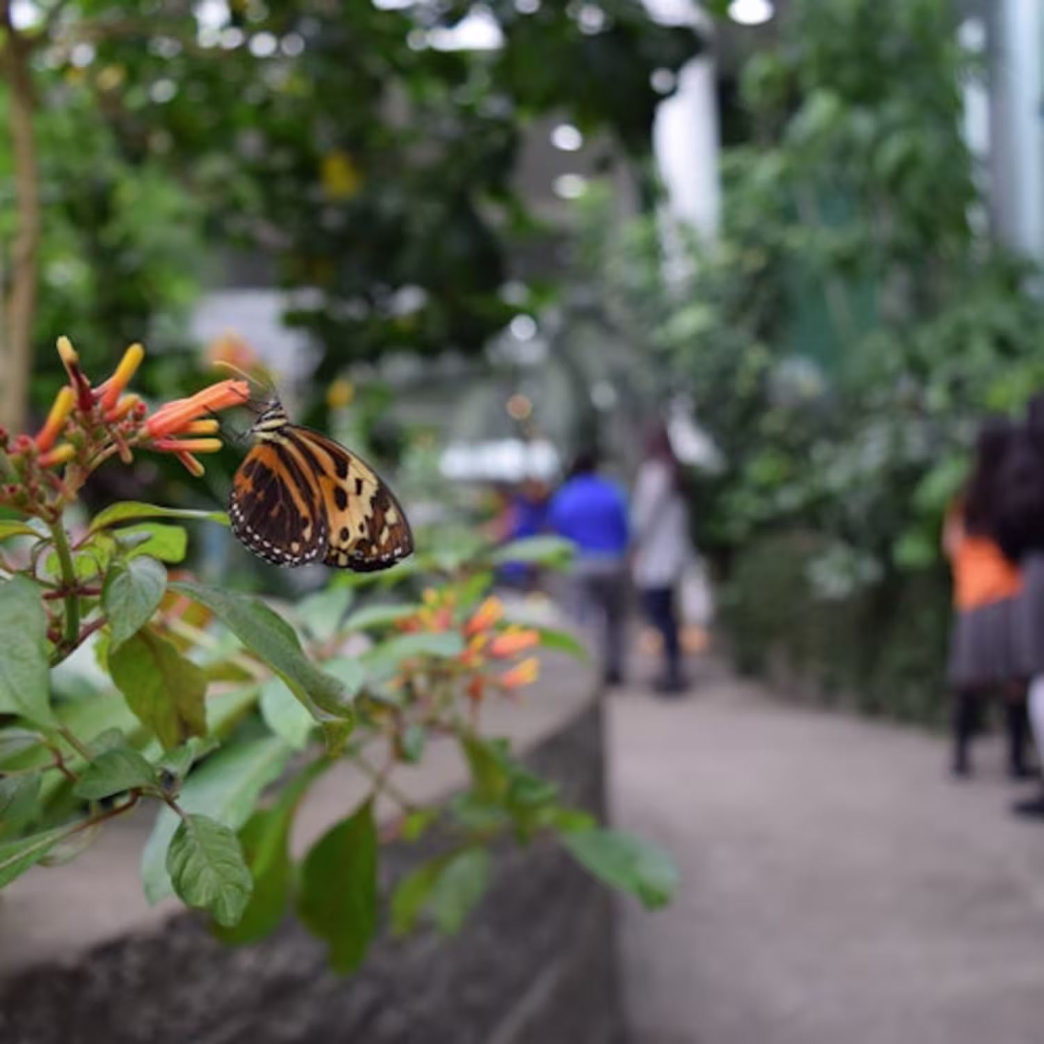 ticket-price-pacific-science-center-entry-ticket