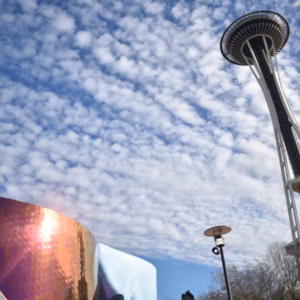 Seattle Center & Space Needle: Guided Walking Tour